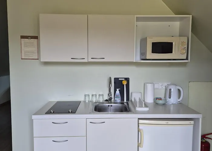 Guest house Maria Talu 3*